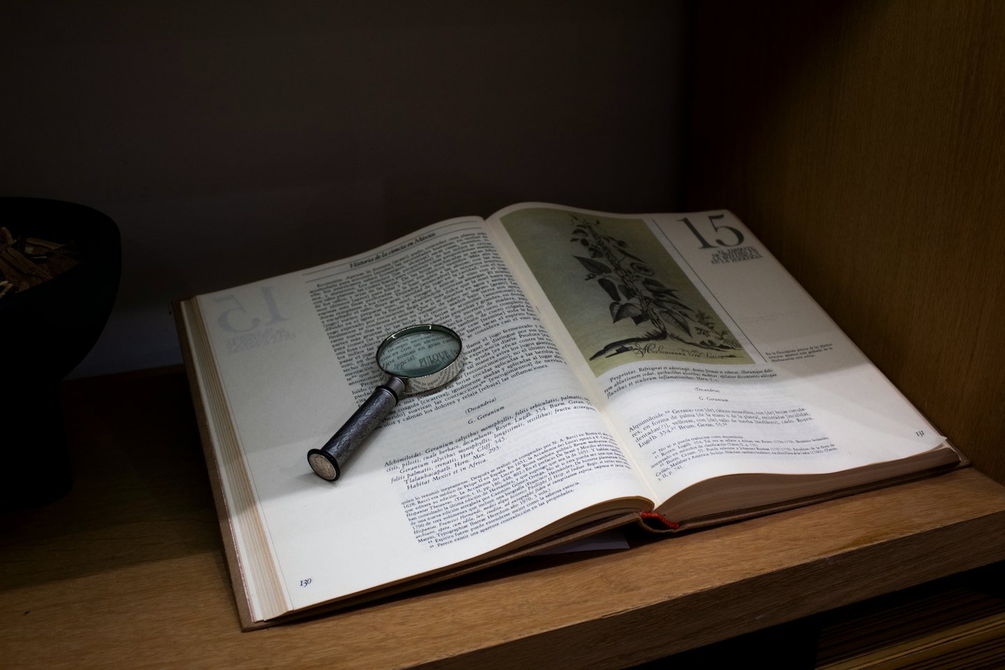 Lente d'ingrandimento antica su un libro aperto e vecchio.